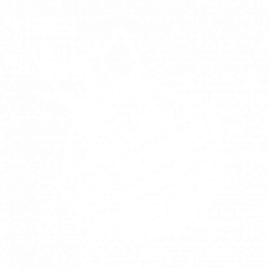 LabombaFDS